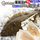 ヒラメ 刺身 フィレ 食べ物 ビールに合う 冷蔵 900g前後 九州 鮮魚 活〆 贈答用 お歳暮 海産物 海鮮 お取り寄せグルメ 九州 土産 送料別