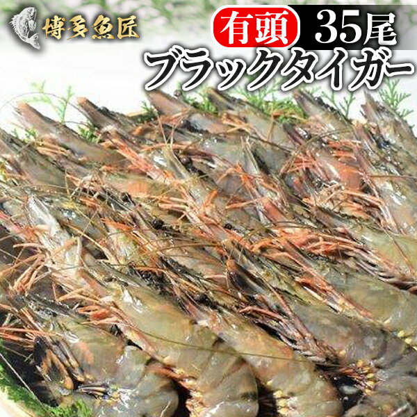 ブラックタイガー 【おまけ付き】ブラックタイガー 有頭 35尾 1.3kg えび 海老 海産物 海鮮 業務用 おせち お取り寄せグルメ 送料無料 父の日ギフト 父の日 プレゼント 実用的 70代 80代 実用 子ども 孫 おつまみ 海鮮 お中元