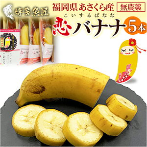 国産 バナナ 恋バナナ 5本 無農薬 福岡県産 果物 朝倉産 産地直送 恋するバナナ