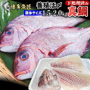 鯛 刺身 フィレ 3枚卸約750〜約1000g スキン(皮無)約525g〜約700g 原体1.5kg〜2kg 冷蔵 食べ物 ビールに合う 九州 鮮魚 養殖タイ ...