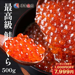 【 期間限定 クーポンで1,000円OFFで7,999円】 いくら 醤油漬け サーモンキャビア 500g 最高級 3特グレード 2023年新物 【 天然秋鮭卵 】 北海道産 いくら醤油漬け イクラ 醤油漬け 500g ギフト お取り寄せグルメ 送料無料 プレゼント 贈り物 . 母の日 父の日 実用的 2024