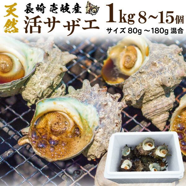 活サザエ 刺身 天然 鮮度抜群 ビールに合う 冷蔵 1kg（8～15個） 海産物 海鮮 お取り寄せグルメ 九州 壱岐対馬産 土産 お土産 送料別 父の日ギフト 父の日 プレゼント 実用的 70代 80代 実用 子ども 孫 おつまみ 海鮮