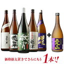 焼酎セット 【景品付き】 焼酎専門店自慢の飲み比べ5本セット 芋焼酎 1800ml 5本 徹宵