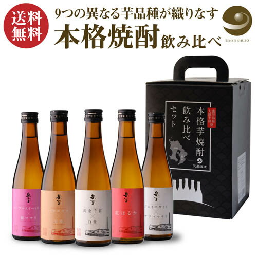 焼酎飲み比べセット 焼酎 芋焼酎 岳宝 飲み比べセット 300ml 5本 セット 鹿児島県 天星酒造 芋焼酎 飲み比べ セット ギフト 贈答 贈物 専用箱付き 酒 プレゼント お酒 長S 父の日