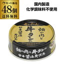 伊藤食品 あいこちゃん そいたん 畑の肉と牛タン 甘辛醤油 そぼろ 60g 48個 化学調味料不使用 あいこ RSL あす楽