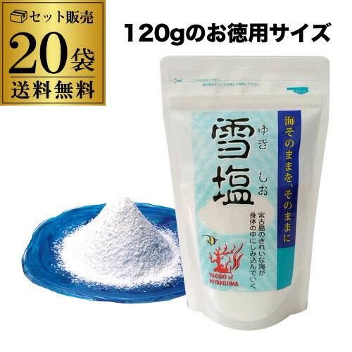 5/18限定 全品P2倍【1袋あたり770円】雪塩 120g×20袋 パウダータイプ スタンドパック 密封チャック付き 賞味期限無し 虎S