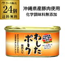 【300円OFFクーポン(6/1〜2日10時迄)】5/30限定 全品P2倍【2ケース買いがさらにお得】沖縄ホーメル わしたポーク レギュラー 200g 24缶 ...