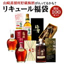 【限定100セット】 リキュールく福袋2本セット 1/10の確率で高級梅酒が入っているかも!? 第二弾梅酒 うめ酒 リキュール 福袋 山崎