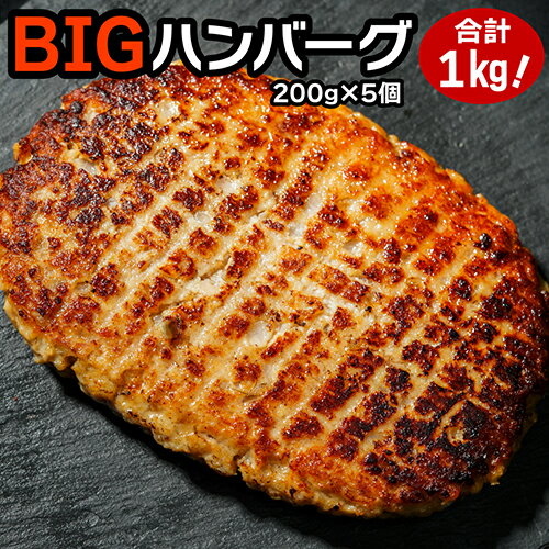 送料無料 ビッグハンバーグ 200g × 5個 計1kg ハンバーグ 特大 ビッグ 肉 冷凍食品 お取り寄せグルメ お取り寄せ グルメ 贈り物 ギフト お祝い プレゼント 冷凍 カワタキ