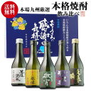 キャッシュレス5%還元対象品焼酎セット 徹宵入り人気の芋焼酎...