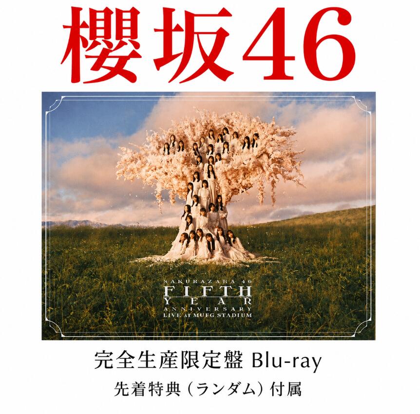 的野美青 5th Anniversary 直筆サイン入り写真 座り 櫻坂46的野美青