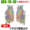 【楽天3冠】【月間優良ショップ】【2点セット】特大フクロウ型鳥よけ 鳥よけ カラスよけ 鳩よけ 鳩よけグッズ カラス 撃退 鳥よけグッズ 鳩 対策 グッズ こうもりよけ カラスよけグッズ 鳥避けグッズ 鳩よけ ベランダ カラス避け 鳩 撃退 人気の鳥よけグッズランキング