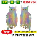 【楽天3冠】【購入者限定特典】【2点セット】特大フクロウ型鳥よけ 鳥よけ カラスよけ 鳩よけ 鳩よけグッズ カラス 撃退 鳥よけグッズ 鳩 対策 グッズ こうも...