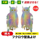 【P2倍/楽天3冠】【購入者限定特典】【2点セット】特大フクロウ型鳥よけ 鳥よけ カラ