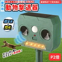 【新発売】【P2倍】【撃退テク読本進呈!】【月間優良ショップ】動物撃退器 超音波×閃光 撃退!ソーラー害獣センサー 電源不要 猫よけ 鳥よけ ねこよけ 鳥よけグ...