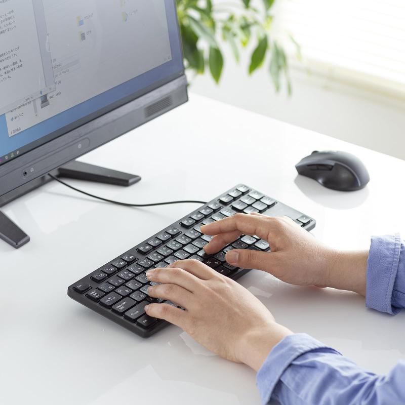 サンワサプライ 静音キーボード（有線・テンキーなし） SKB-SL38BK