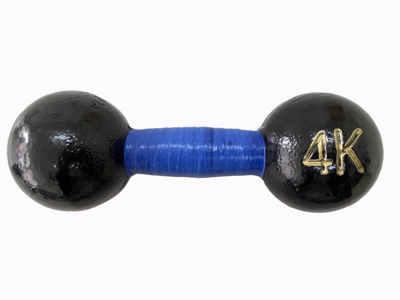 LITEC(ライテック) 鉄アレー 4kg DP006