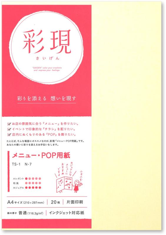 PCM竹尾 プリンタ用紙 彩現 メニュー・POP用 A4 新だん紙 雪 1742032