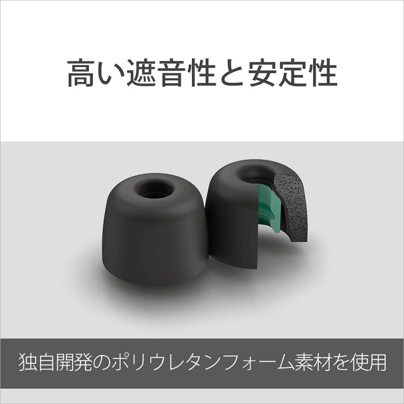 ソニー ノイズアイソレーションイヤーピース EP-NI1000 : Lサイズ EP-NI1000L