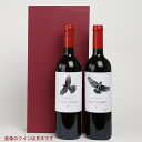 Gift Box ギフトボックス ラッピング 2本用 ギフトに プレゼントに お祝い 贈り物 ワインギフト【本州3980円以上送料無料】 ギフト