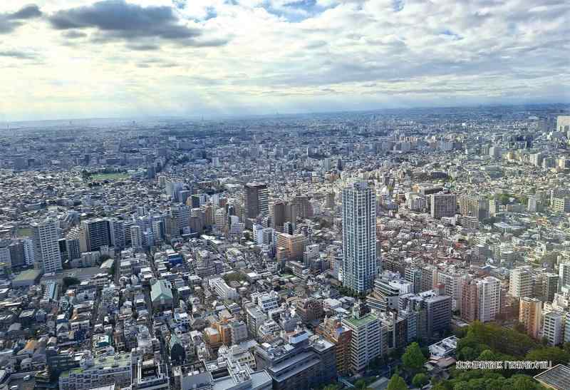 300ピース ジグソーパズル シリーズ日本の都市1 東京都新
