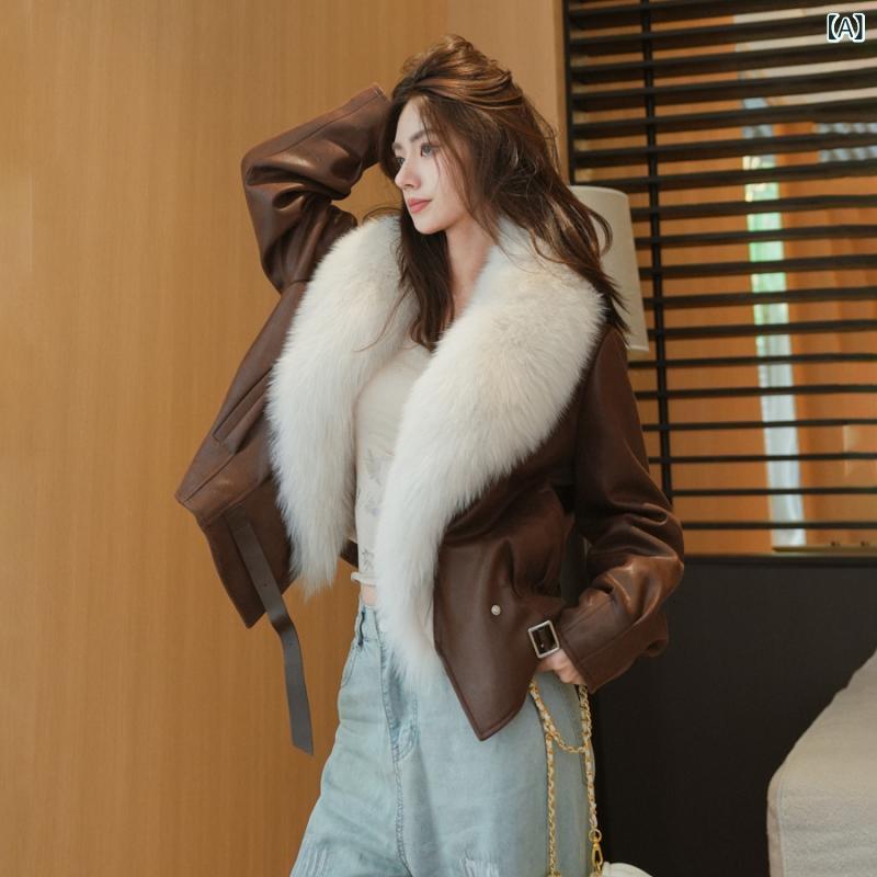 UVå ѡ Ƥɻ  ȥɥ ǥ UVå ѡ Ƥɻ  ȥɥ ǥ   ĺ  졼 ...