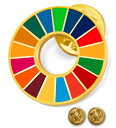 SDGs バッジ (直径20mm小さめ) ピンバッジ SDGs エスディージーズ ピンバッチ 国連最新仕様 バッヂ 襟章 金色 ゴールデン 疑似七宝仕上げ