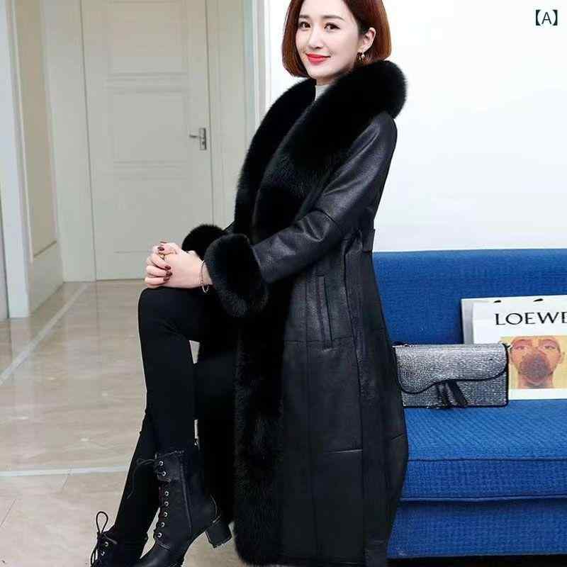 ߥ꥿꡼ ǥ  ޥƥ   ߥ꥿꡼ ǥ  ޥƥ   2024   ǫ ...