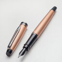 20,000円ぽっきり!!【WAT98】【WATERMAN / ウォーターマン】Expert / エキスパート 万年筆 ローズゴールドメタリック RT F(細字) フランス製【即納 宅配便 送料無料 税込価格】