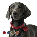 ハンター 犬用 首輪 オールボー 32/XS 小型犬 本革 ドイツ製 牛革 オイルレザー ドイツブランド しなやか(4)