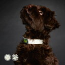 ハンター 犬用 首輪 コンビニエンス リフレクト グロー 60/L 中型犬 大型犬 反射材使用 蛍光材 蓄光材 ドイツブランド