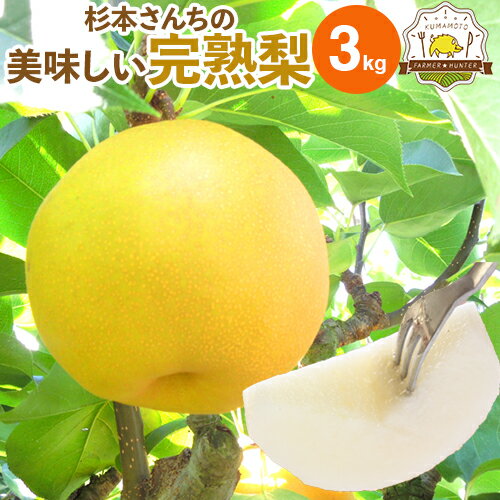 送料無料 梨 3kg 熊本県産 ブランド梨 杉本さんの完熟梨 豊富な品種でお中元やお盆のお供え、敬老の日、お彼岸と多くの用途にご利用いただいています！取り扱い品種（菊水 幸水 豊水 秋月 新高 新興）