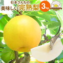 送料無料 梨 3kg 熊本県産 ブランド梨 杉本さんの完熟梨 豊富な品種でお中元やお盆のお供え、敬老の日、お彼岸と多くの用途にご利用いただいています！取り扱い品種（菊水 幸水 豊水 秋月 新高 新興）