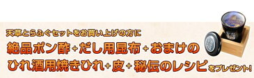 とらふぐ セット（1〜2人前）熊本県天草産 トラフグをお届けします！お取り寄せ グルメ とらふぐ鍋（てっちり・ふぐちり）唐揚げ 焼きふぐなどいろいろ出来て大満足！秘伝のレシピ＋おまけつき