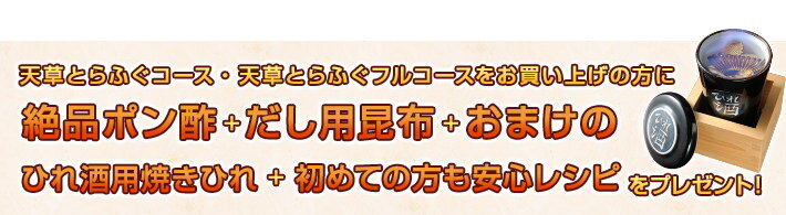 送料無料 【白子付】天草とらふぐコース（3〜4人前）熊本県天草産 トラフグをお届け！お取り寄せ グルメ とらふぐ鍋（てっちり・ふぐちり）てっさ（フグ刺し・とらふぐの刺身）トラフグのアラ・ひれ酒、さらに海の宝石と言われるトラフグの白子が付きました！