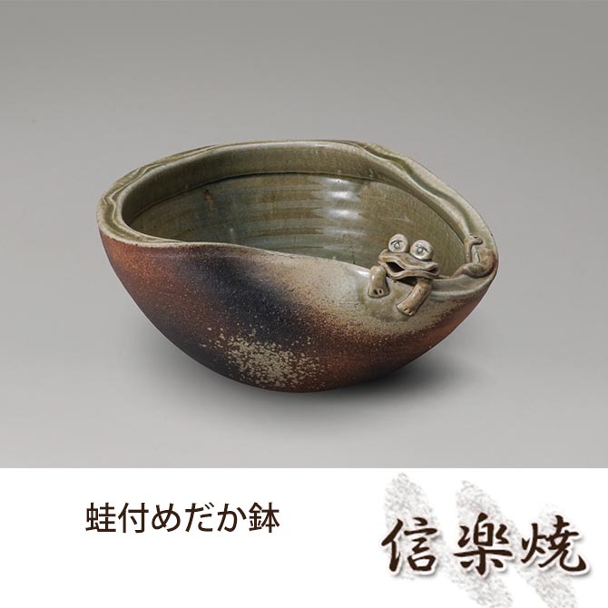 蛙付めだか鉢 伝統的な味わいのある信楽焼き 水槽 水入れ 和テイスト 陶器 日本製 信楽焼 水流 焼き物 和風 しがらき