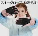スキーグローブ レディース 防寒手袋 スノーボードグローブ 防寒グローブ スポーツグローブ 防水 防風 防寒 滑り止め タッチパネル対応 紛失予防 保温 厚手 ...