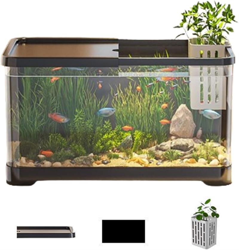 熱帯魚）飼育セット グッピーセット guy〜炎〜 おまけ付 本州