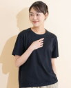 【SALE】Hush Puppies(ハッシュパピー) 天竺無地Tシャツ レディス 半袖