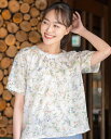 Hush Puppies(ハッシュパピー) 花柄PTブラウス レデイス 半袖
