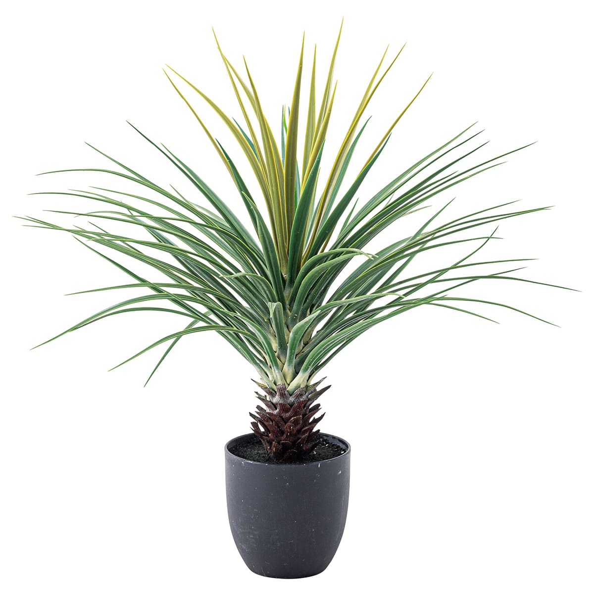 乐天商城 - 法人様限定 人工観葉植物 フェイクグリーン ミニパイナップル GRN-12（バラ出荷） 東谷