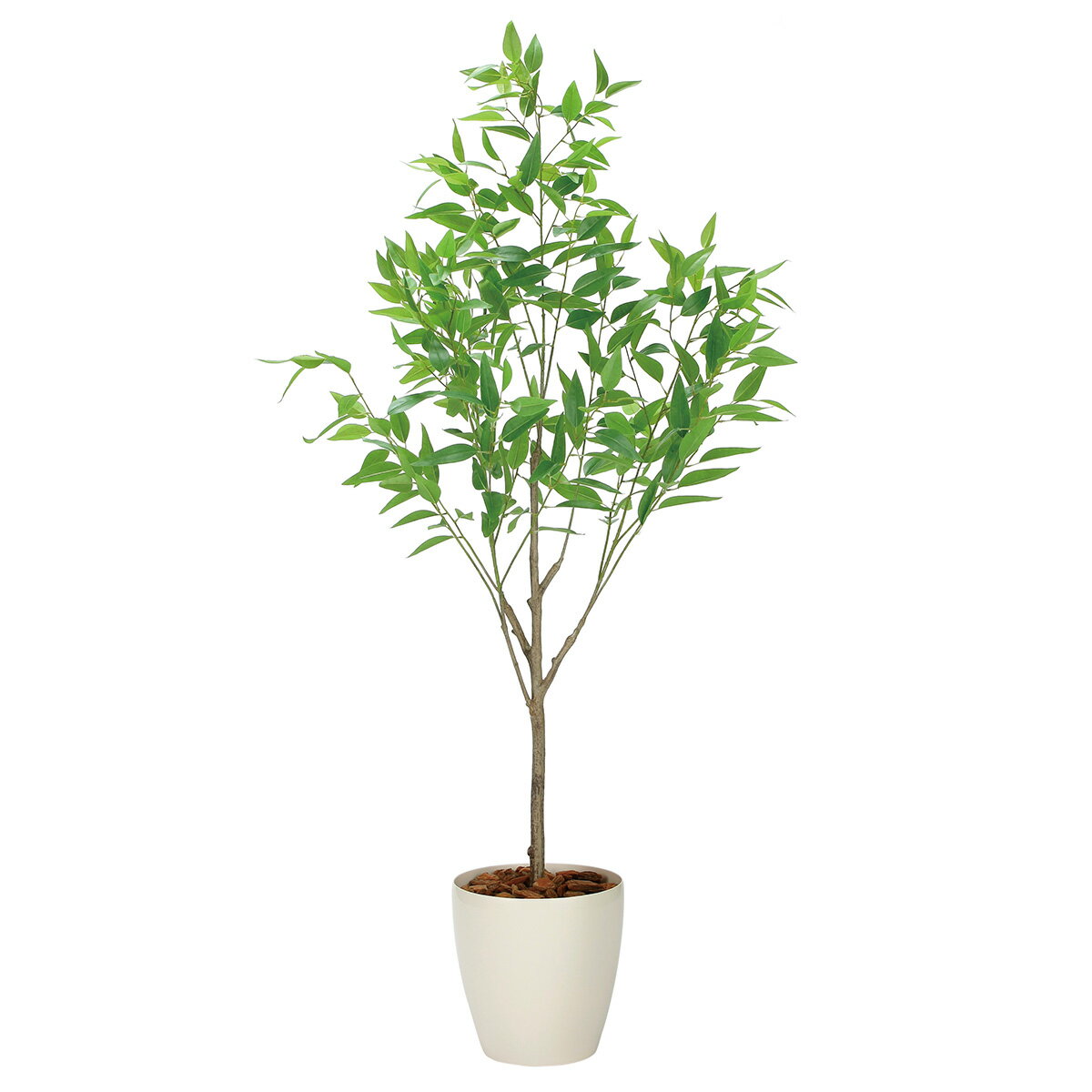 乐天商城 - 法人様限定 人工観葉植物 フェイクグリーン フレッシュ細葉ユーカリ1.7 2329A500 アートクリエイション