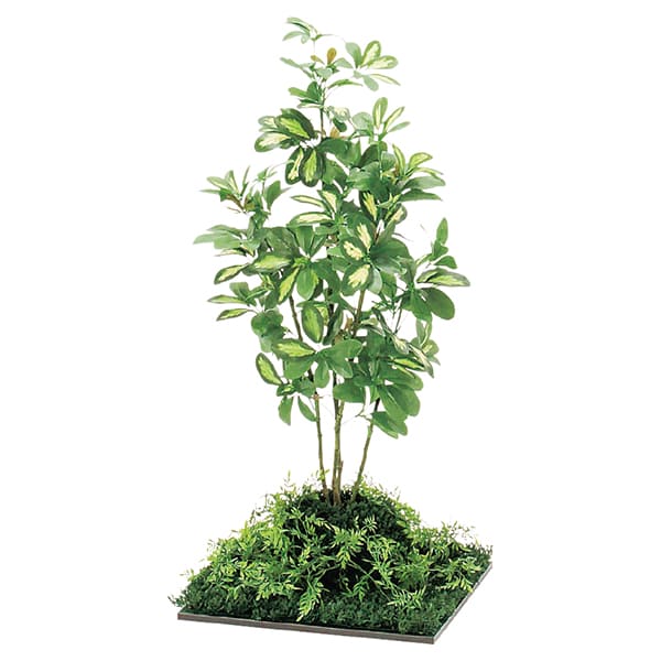 法人様限定 ベルク オフィス家具 フェイクグリーン フロアグリーン 45角 シェフレラ H1000 GR5062