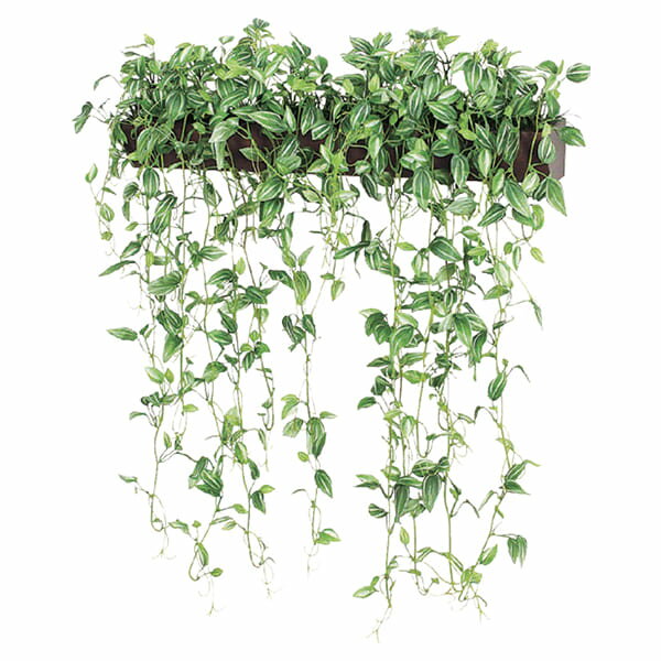 法人様限定 ベルク オフィス家具 フェイクグリーン グリーンポッド ウォールポット 壁付けタイプ GR4346