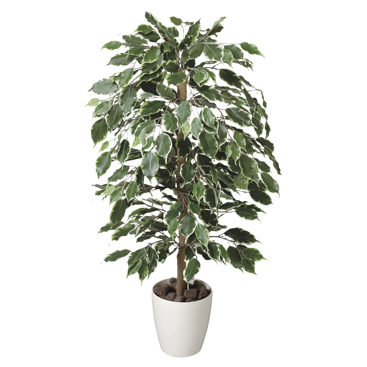 Rakuten - 法人様限定 人工観葉植物 フェイクグリーン ゴールデンフィカス1.0 202A150 アートクリエイション