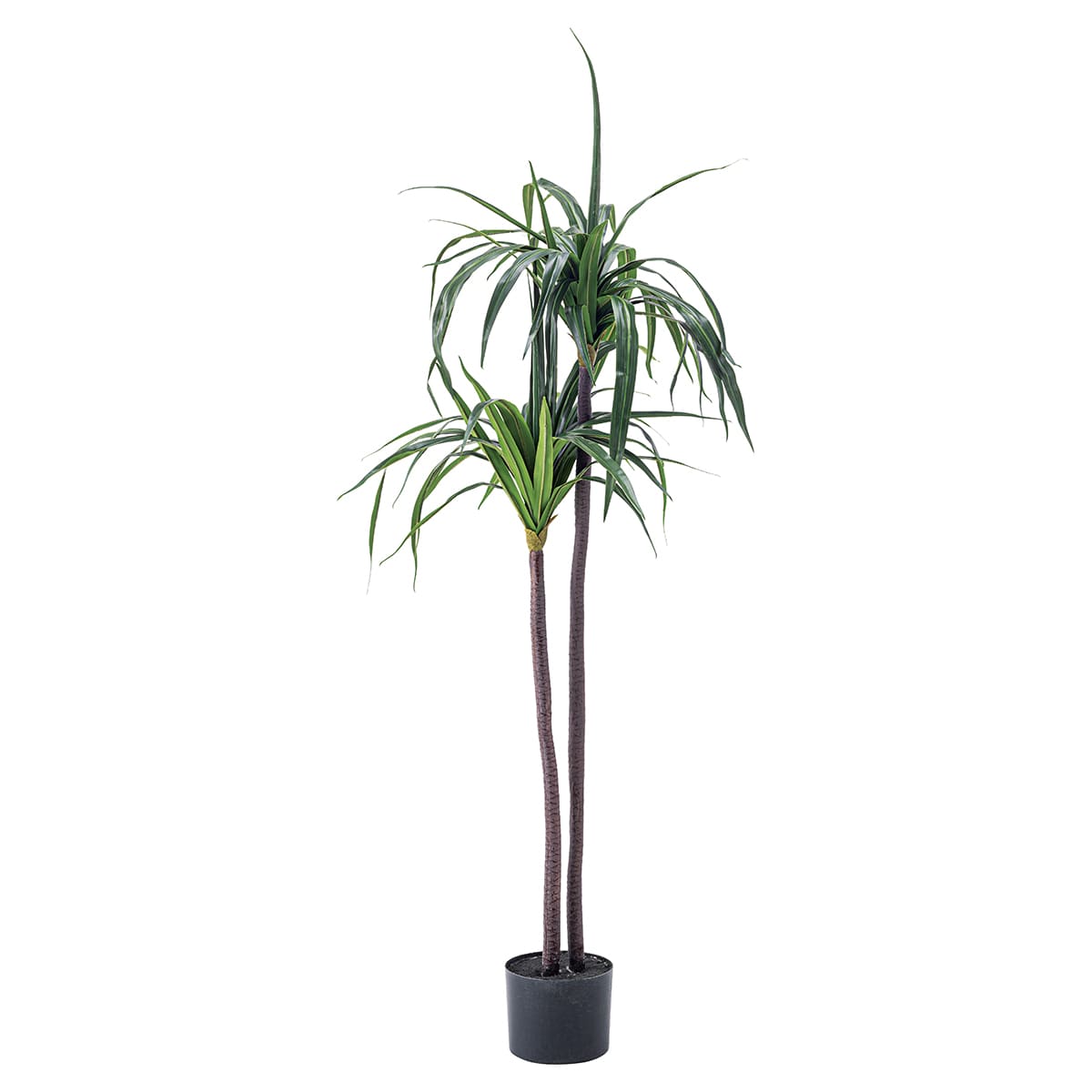 法人様限定 人工観葉植物 フェイクグリーン ドラセナ GRN-15（バラ出荷） 東谷