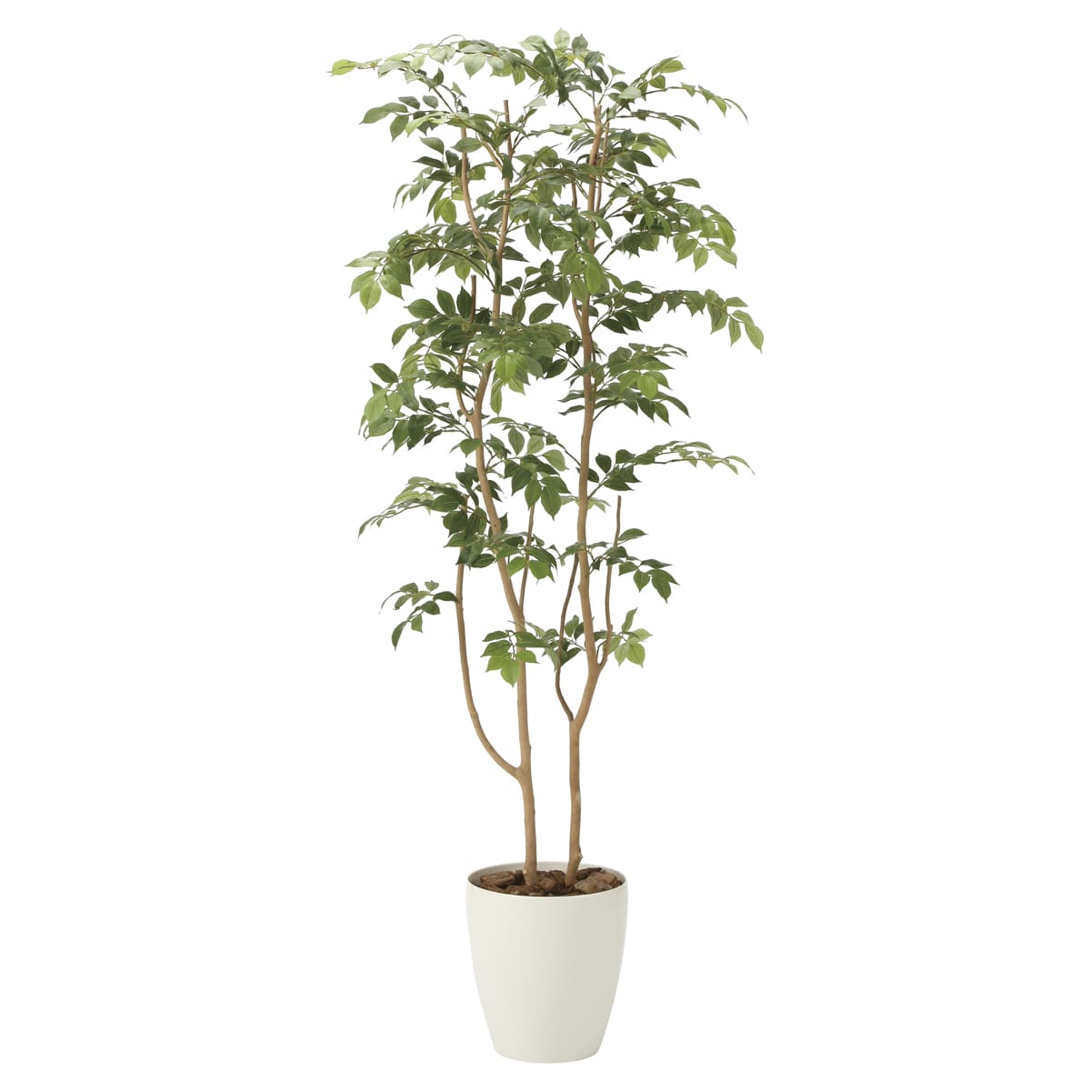 乐天商城 - 法人様限定 人工観葉植物 フェイクグリーン マウンテンアッシュ1.6 2021R400 アートクリエイション