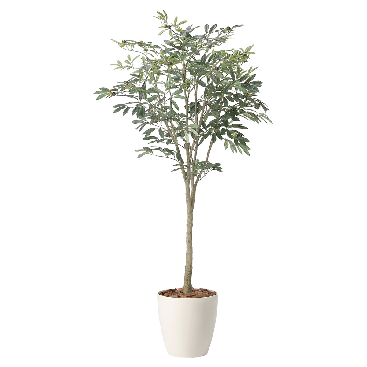 乐天商城 - 法人様限定 人工観葉植物 フェイクグリーン オリーブツリー1.7 2426A310 アートクリエイション