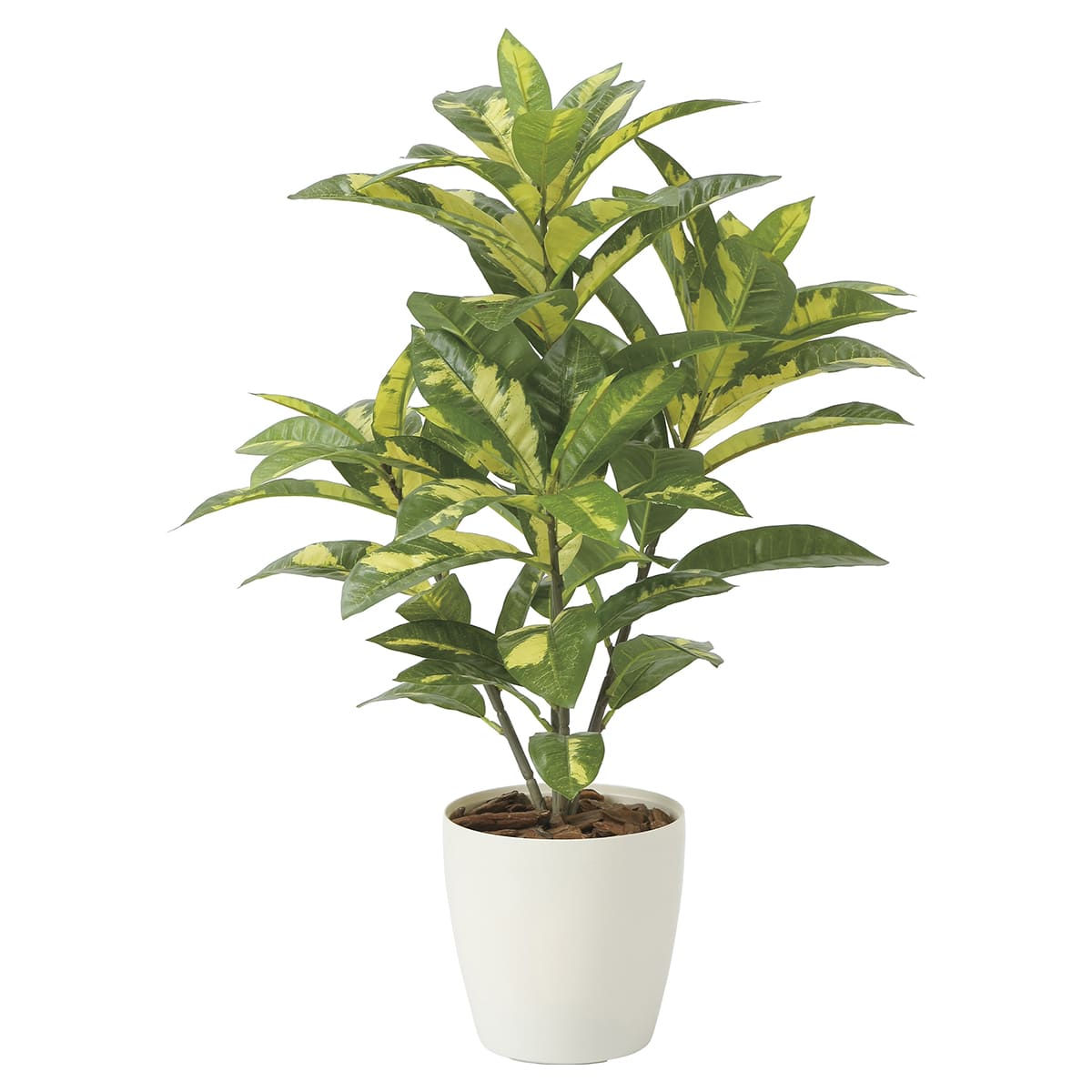 乐天商城 - 法人様限定 人工観葉植物 フェイクグリーン クロトン 2213A100 アートクリエイション