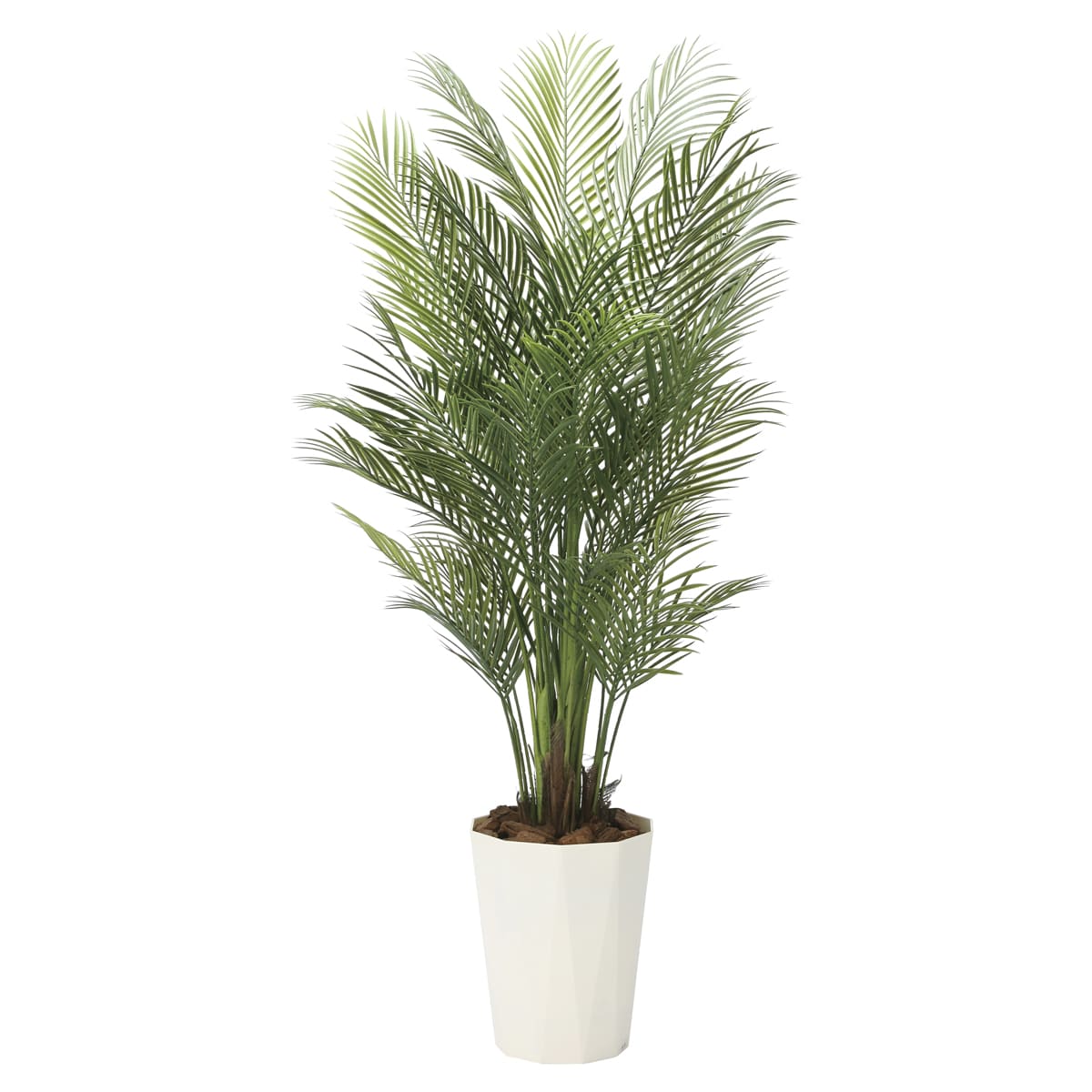 乐天商城 - 法人様限定 人工観葉植物 フェイクグリーン アレカパーム1.7（ポリ製）2006P500 アートクリエイション
